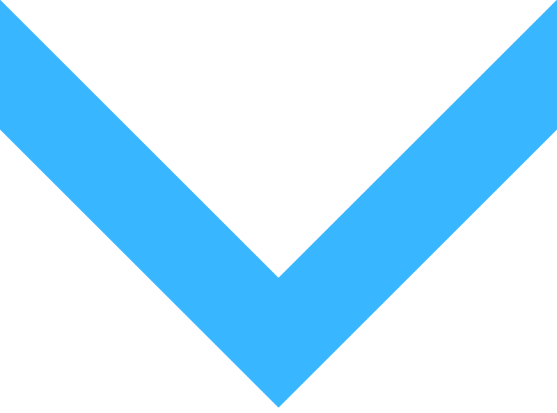 ArrowPrimary